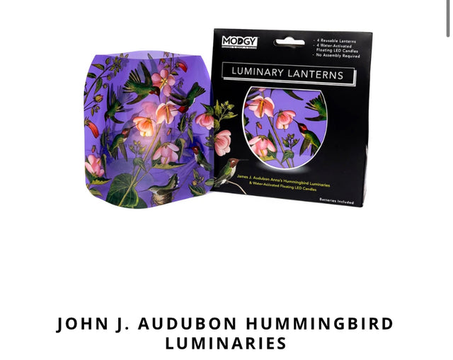 John J Audubon Hummingbird Lumaries